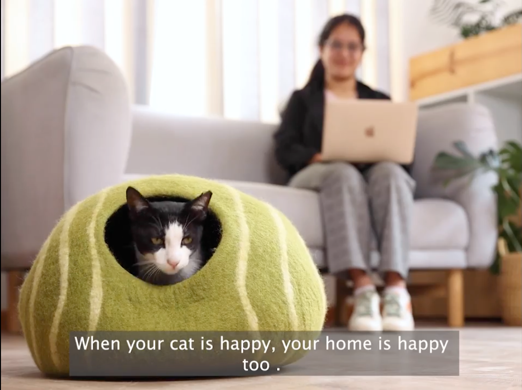 Cat in a green ball-shaped pet bed with a person using a laptop in the background.