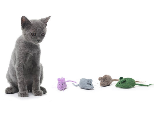 Gray cat sitting next to four colorful cat toys on a white background