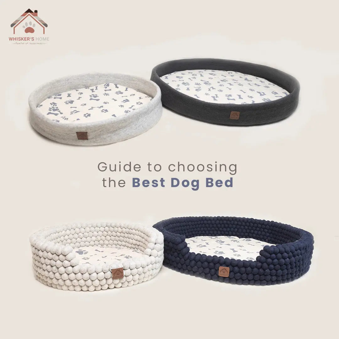 The-Ultimate-Guide-to-Choosing-the-Best-Dog-Bed Whisker's Home