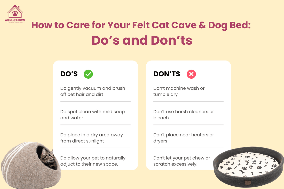 How to Care for Your Felt Cat Cave & Dog Bed: Dos and Don’ts