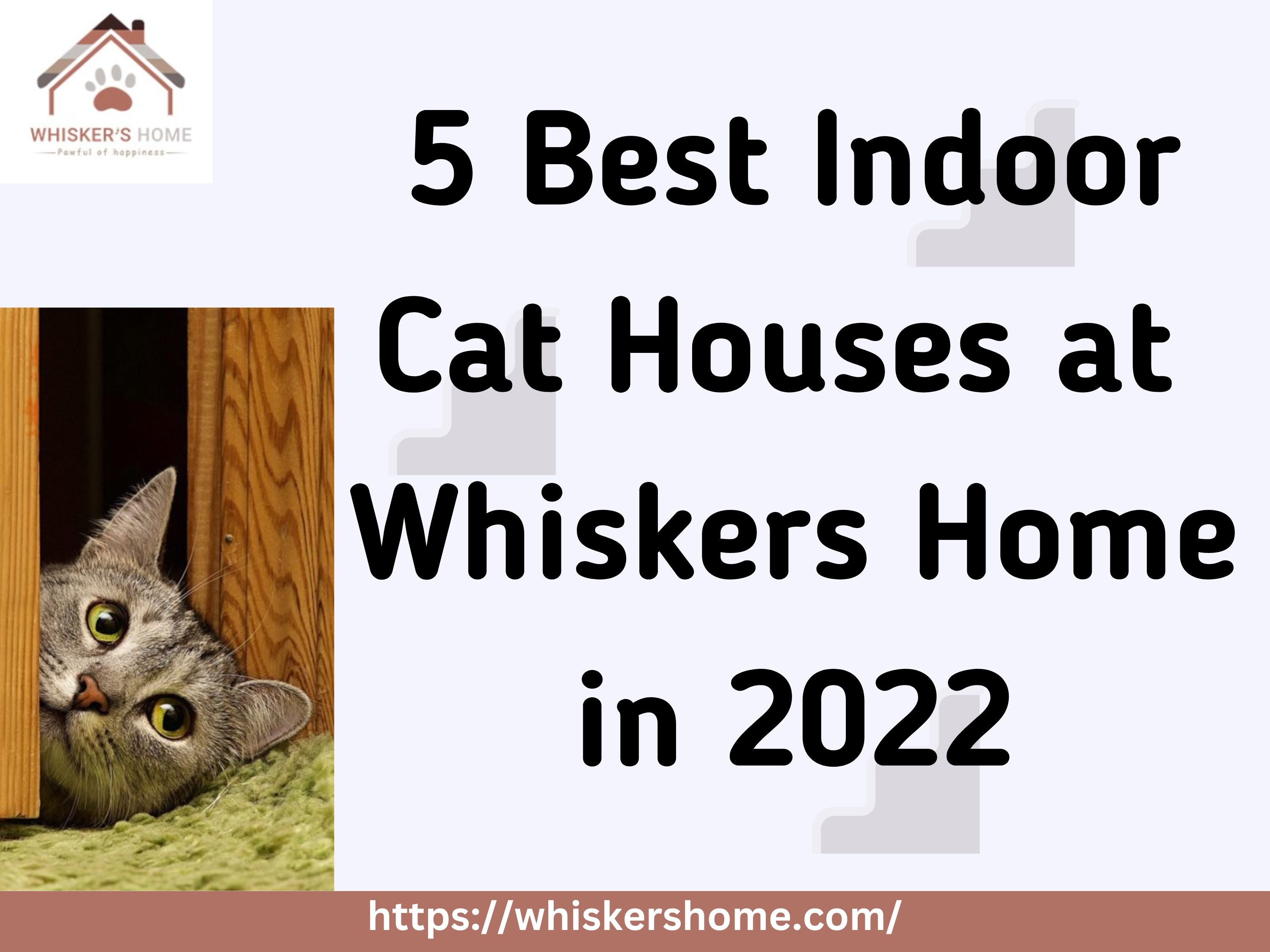 5 Best Indoor Cat House at Whiskers Home in 2022