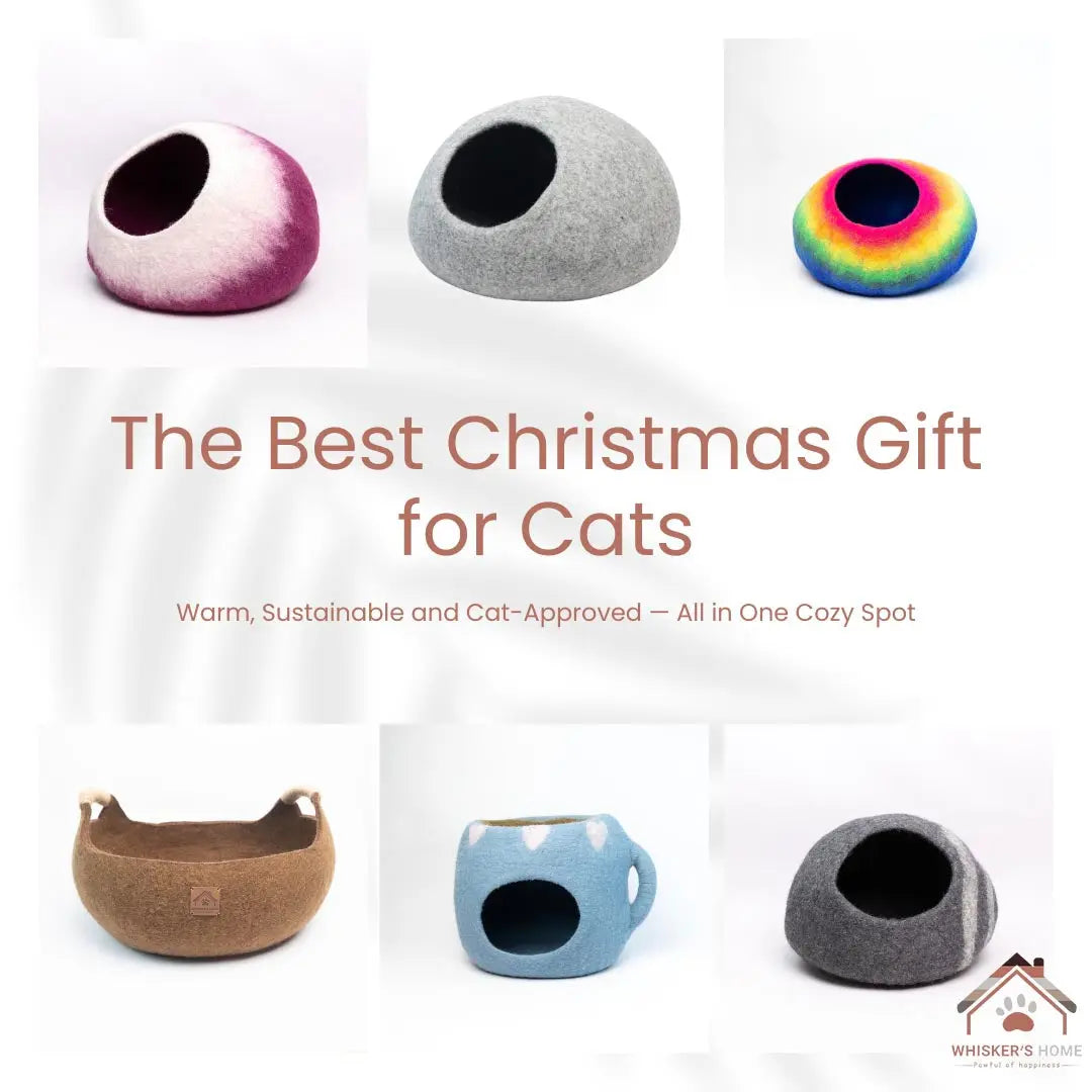 Felt-Cat-Cave-the-Best-Christmas-Gift-for-Cat Whisker's Home