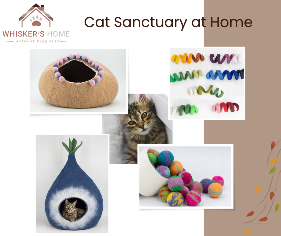 5 ways to spoil your cat by creating a sanctuary at home