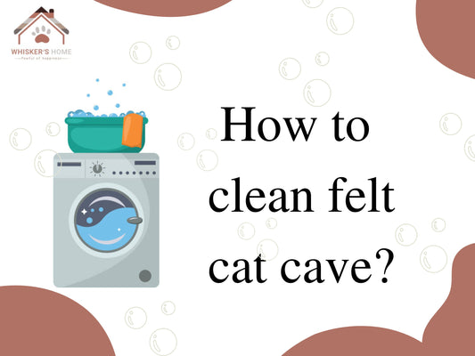 clean cat cave, clean cat house, how to clean 