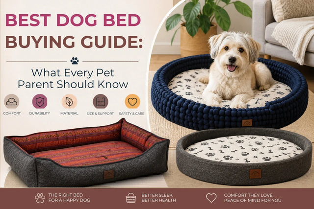 Best Dog Bed Buying Guide: What Every Pet Parent Should Know