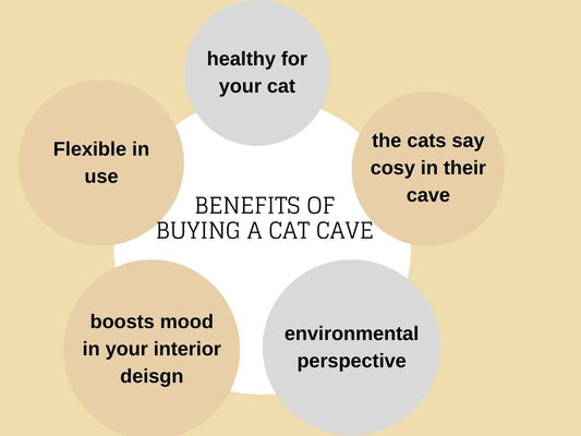 5 Benefits of Buying a Felt Cat Cave.