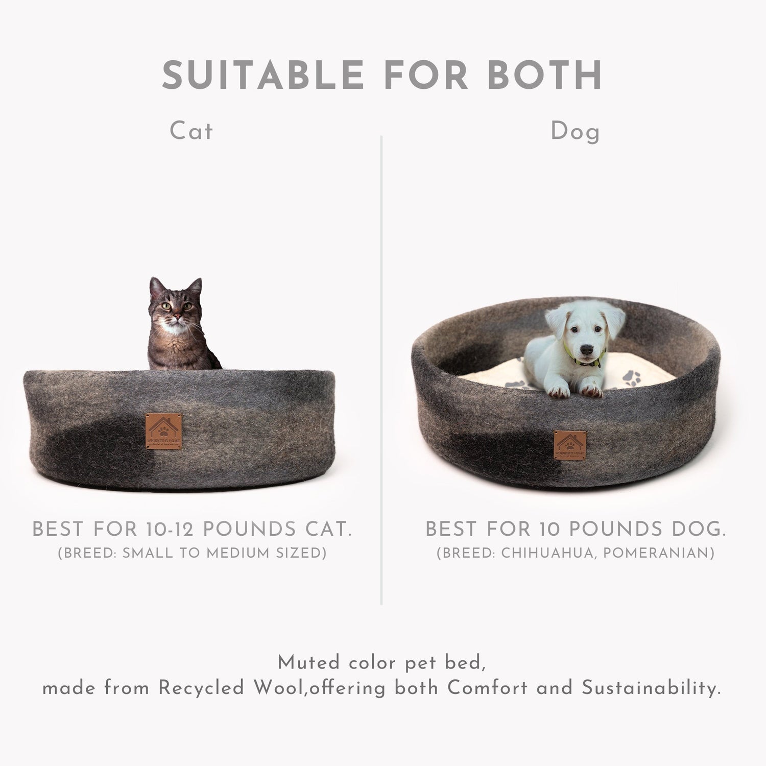 The-Ultimate-Guide-to-Choosing-the-Best-Dog-Bed Whisker's Home