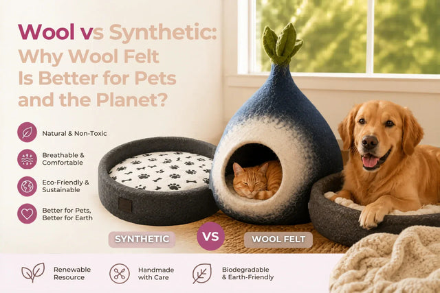 Wool vs Synthetic: Why Wool Felt Is Better for Pets and the Planet