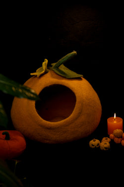 Halloween Cat Cave Collection