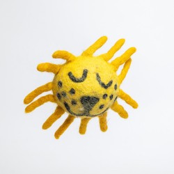 Eco-Toys Bundle: 8cm Wool Felt Pet Toys