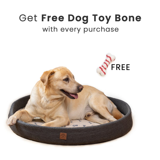 grey felt ball dog bed in living space around sofa and felt basket  Felt Ball Bolster Dog Bed 100% New Zealand Wool handmade color floral brown white black gray cream pet product comfy free shipping 