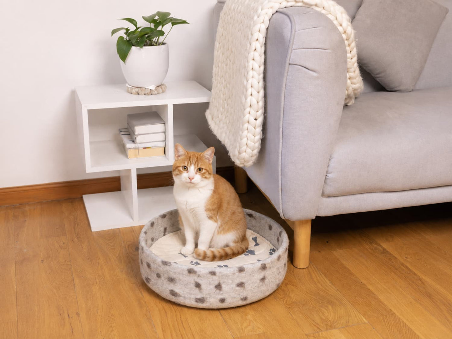 Whisker's Home Spotty Felt Pet Bed - 100% New Zealand Wool