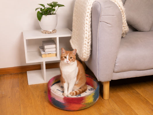 Whisker's Home Rainbow Recycled Felt Pet Bed - 100% New Zealand Wool