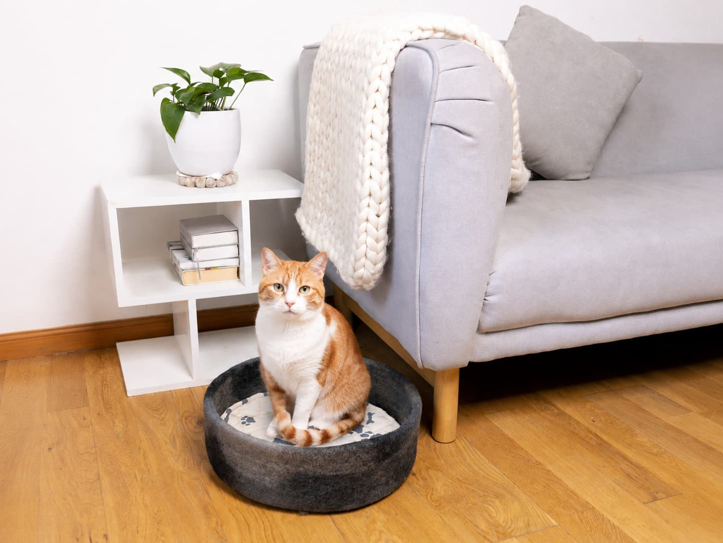 Whisker's Home Muted Color Felt Pet Bed 100% New Zealand Wool