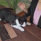 Whiskers Home Black Gradient Felt Cat Cave 100% New Zealand Wool & Felt in Modern Design