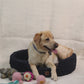 grey felt ball dog bed in living space around sofa and felt basket  Felt Ball Bolster Dog Bed 100% New Zealand Wool handmade color floral brown white black gray cream pet product comfy free shipping 