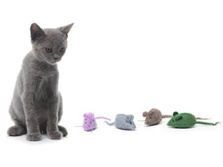 Cat Toys