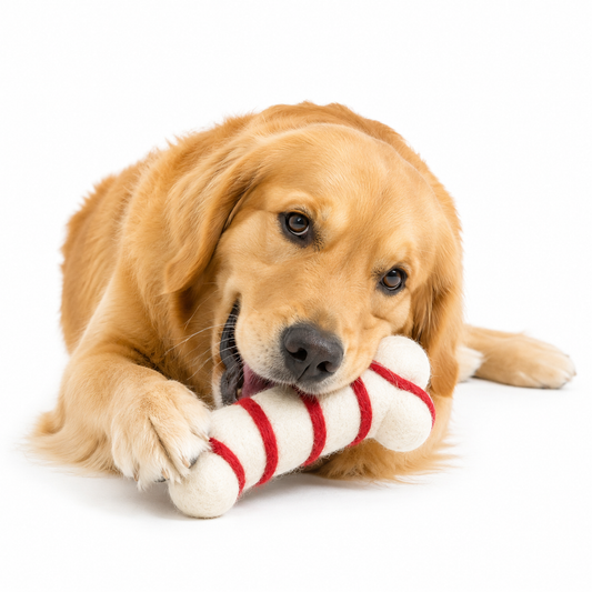 Handmade Felt Candy Cane Bone Pet Toy