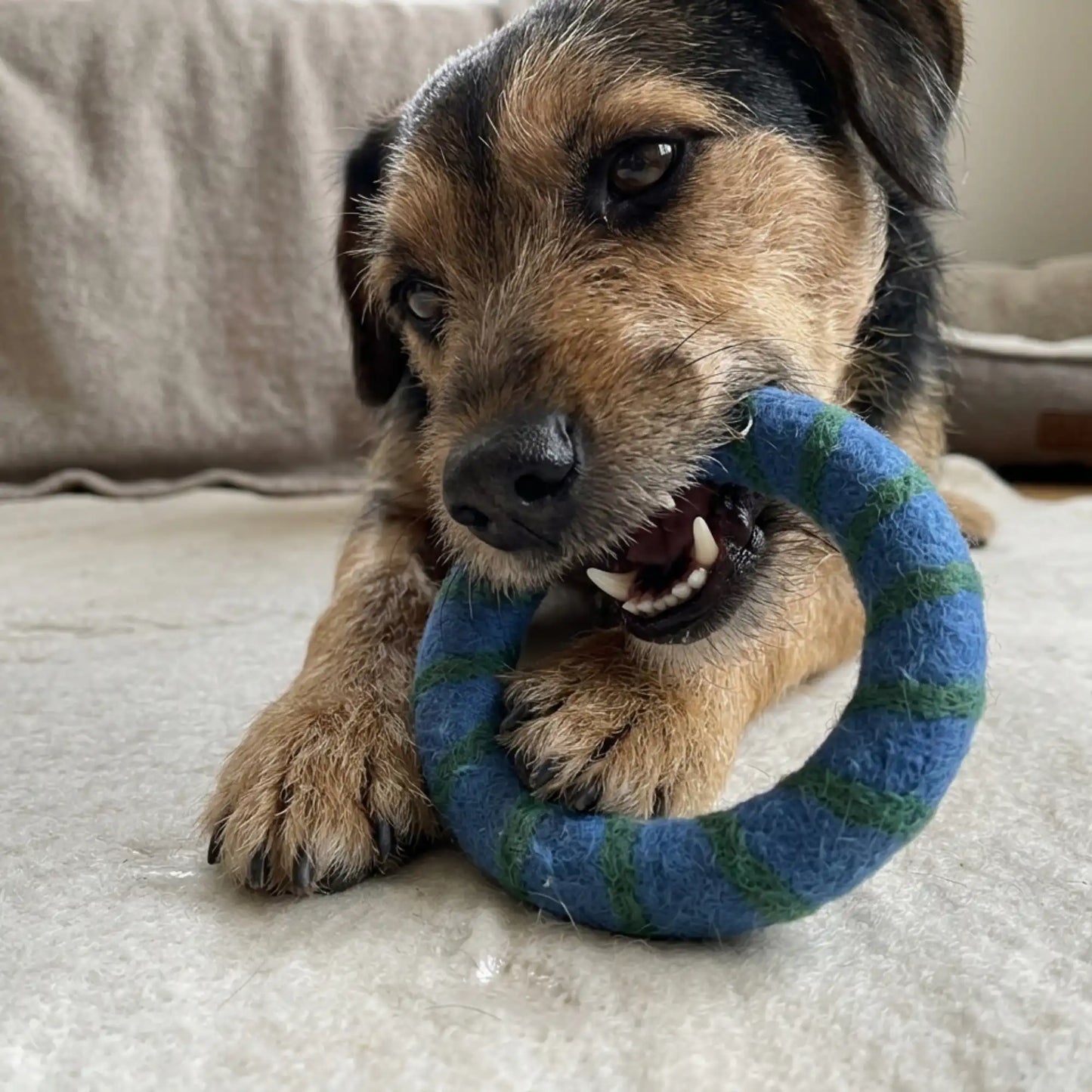 Handmade Felt Toy Ring for Dogs