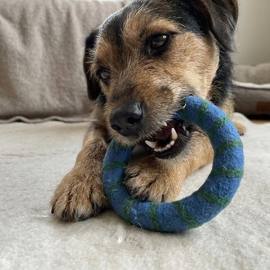 Handmade Felt Toy Ring for Dogs