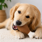 Handmade Wool Turkey Leg Chew Toy