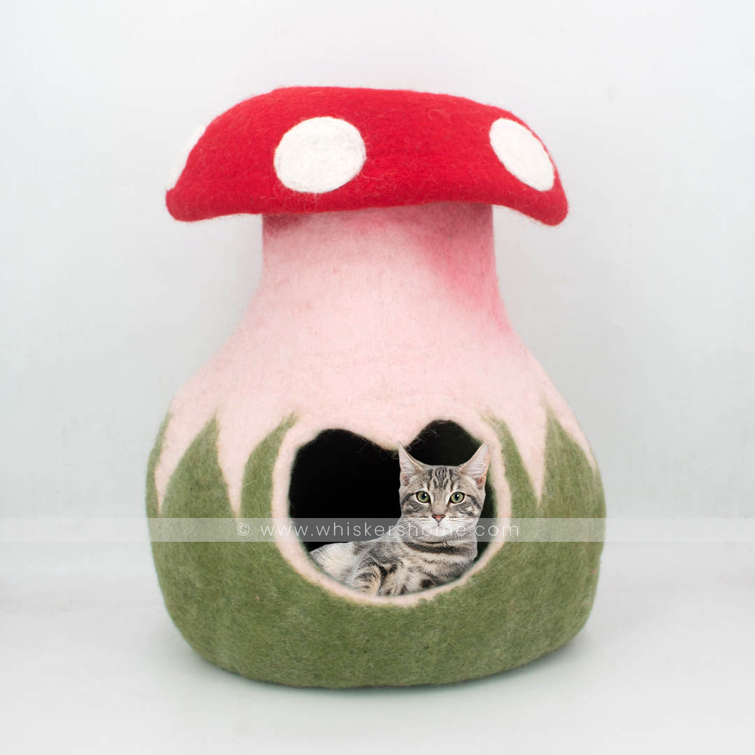 mushroom, green cat cave, red cat cave, mushroom design cat cave