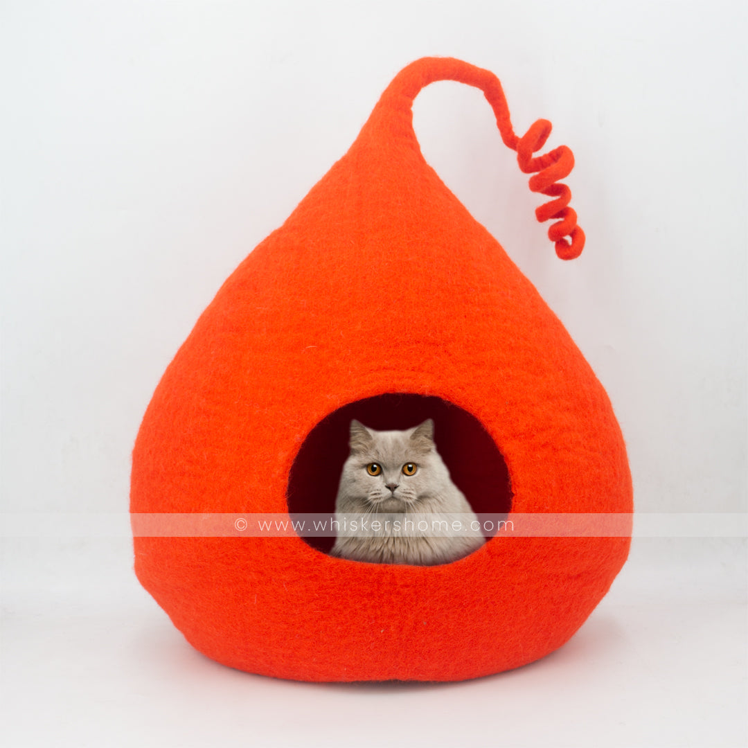 orange cat cave, curly cat cave