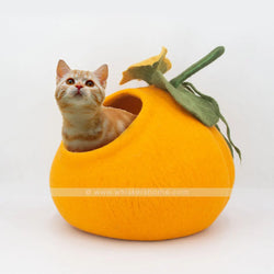 Pumpkin Cat Caves