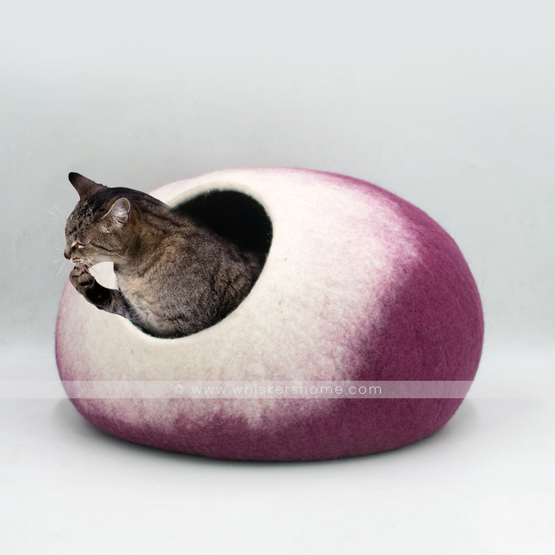 purple cat cave, white cat cave, cat bed, purple- white cat cave